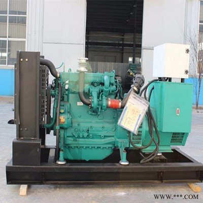 濰柴發(fā)電機組 75kw柴油發(fā)電機組 永磁發(fā)電機組 濰柴股份全國聯(lián)保
