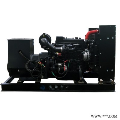 濰柴50kw發(fā)電機(jī)組 養(yǎng)殖場(chǎng)備用發(fā)電機(jī) 柴油發(fā)電機(jī)組 豐岳機(jī)械