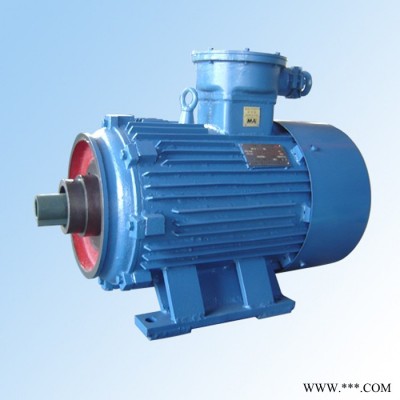 FB-800/24Y隔爆型永磁發(fā)電機(jī)   國龍時(shí)間技術(shù)在線