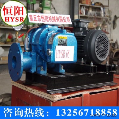 恒陽HYSR150H 高壓羅茨鼓風(fēng)機 三葉羅茨風(fēng)機 羅茨鼓風(fēng)機/