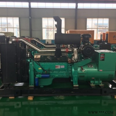 200千瓦kw發(fā)電機組_大型發(fā)電機組_廠家定制