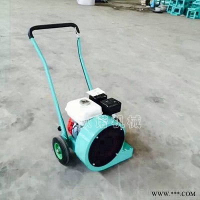名優(yōu)動(dòng)力公路用吹風(fēng)機(jī) 馬路吹風(fēng)機(jī) 路面吹風(fēng)機(jī)價(jià)格