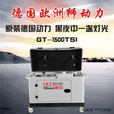 歐洲獅原裝機(jī)12千瓦柴油發(fā)電機(jī) 柴油發(fā)電機(jī)