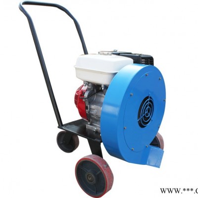 供應(yīng) 威海新寶機械廠 LC-380 路面吹風(fēng)機