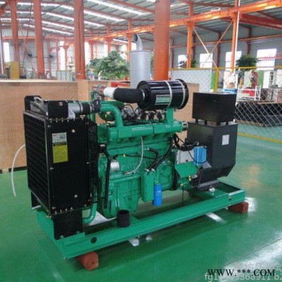 60kw燃?xì)獍l(fā)電機(jī)組 小型天然氣發(fā)電機(jī)220V 全新純銅無刷發(fā)電機(jī)60千瓦