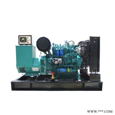 康明斯 250KW柴油發(fā)電機(jī)組 三相無刷發(fā)電機(jī)