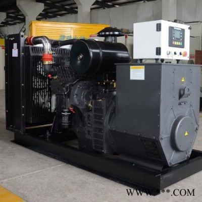 鑫達(dá)山力 上柴200kw柴油發(fā)電機 上柴200kw發(fā)電機組 歡迎咨詢 上柴柴油發(fā)電機 上柴發(fā)電機組