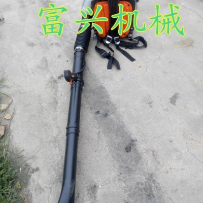 促銷家用除雪吹風機  壽光吹風機價格 啟航吹風機批發(fā)廠家