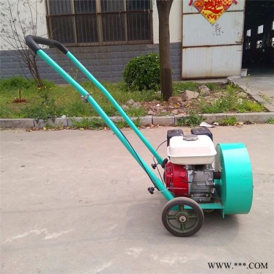 思拓瑞克手扶吹風(fēng)機(jī) 雙11促銷小型吹風(fēng)機(jī) 手扶式地面吹風(fēng)機(jī)特價(jià)批發(fā)汽油吹風(fēng)機(jī)制造廠家高速路面吹風(fēng)機(jī)