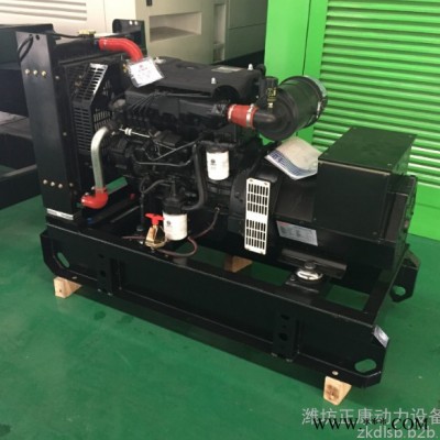 濰柴銳動力20kw小型柴油發(fā)電機組 紙塑分離機專用三相純銅發(fā)電機 柴油發(fā)電機組