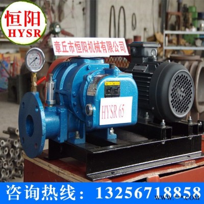 供應(yīng)羅茨風(fēng)機_1/三葉羅茨風(fēng)機