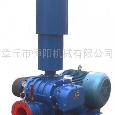供應(yīng)恒陽HYSR50-300**羅茨風(fēng)機/羅茨真空泵