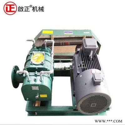 啟正CCR100羅茨風機 三葉羅茨風機 型號參數(shù)