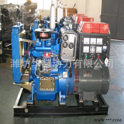 濰坊15kw柴油發(fā)電機(jī)組 家庭備用發(fā)電機(jī)單三相全銅發(fā)電機(jī) 直銷
