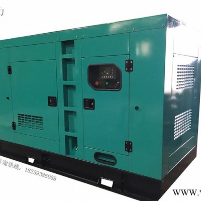 浙江上柴凱普500KW全自動發(fā)電機(jī)組生產(chǎn)廠家批發(fā)代理、浙江養(yǎng)殖專用發(fā)電機(jī)組批發(fā) 上柴500KW發(fā)電機(jī)