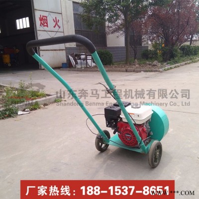 小型馬路吹風(fēng)機(jī) 混凝土裂縫吹風(fēng)機(jī) 汽油吹風(fēng)機(jī)園林吹灰塵石子 路面吹風(fēng)機(jī)