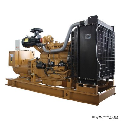 250KW上海申動發(fā)電機組6135CZLD發(fā)電機組價格工地工廠備用電源戶外防雨型發(fā)電機組沈陽發(fā)電機組廠家