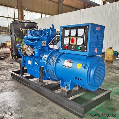濰坊動(dòng)力20kw柴油發(fā)電機(jī)組全銅電球無(wú)刷免維護(hù)發(fā)電機(jī)三相