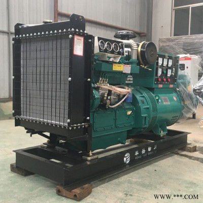50kw柴油發(fā)電機(jī)組 小型柴油發(fā)電機(jī)組 歡迎選購(gòu) 豐岳 濰坊系列發(fā)電機(jī)組設(shè)備