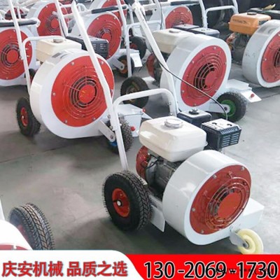 慶安QCF-55 路面吹風(fēng)機(jī)，馬路吹風(fēng)機(jī)，汽油吹風(fēng)機(jī)低價(jià)現(xiàn)貨