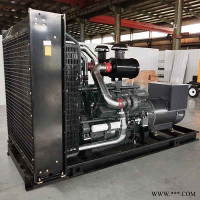 250kw上海動(dòng)力柴油發(fā)電機(jī)組 380V三相 自動(dòng)應(yīng)急大功率發(fā)電機(jī)