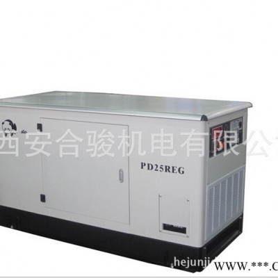25KW天燃?xì)?、多燃料靜音型發(fā)電機(jī)組 天燃?xì)獍l(fā)電機(jī)組