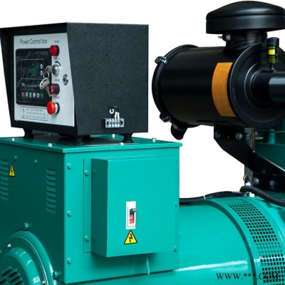 東風(fēng)康明斯發(fā)電機(jī) 6LTAA8.9-G2 200kw柴油發(fā)電機(jī)組 省油環(huán)保