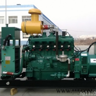 濰坊250kw千瓦靜音箱燃氣發(fā)電機組 小型沼氣發(fā)動機 沼氣發(fā)電機設(shè)備
