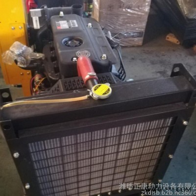 濰柴銳動力15KW千瓦柴油發(fā)電機組 小型家用純銅無刷發(fā)電機