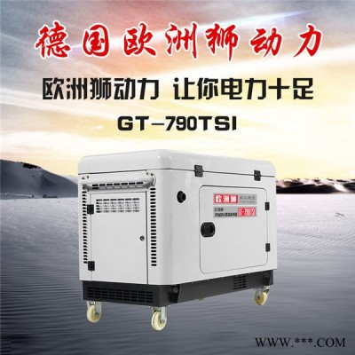 歐洲獅GT-950TSI柴油發(fā)電機(jī)價(jià)格