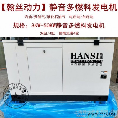 HANSI翰絲HS15REG靜音燃氣發(fā)電機