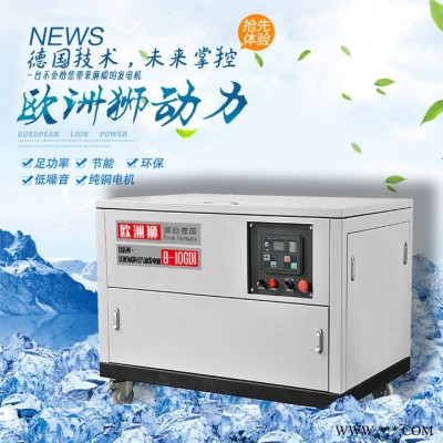 歐洲獅25KW汽油發(fā)電機(jī)小體積