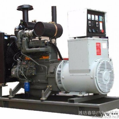 濰柴（TD226B-4D）柴油發(fā)電機(jī)組 50KW濰柴柴油發(fā)電機(jī)組 50KW柴油發(fā)電機(jī)組