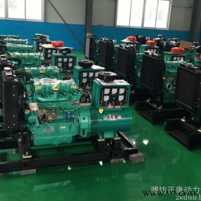 濰柴40kw小型柴油機發(fā)電機組 養(yǎng)鵝場養(yǎng)雞場備用40千瓦濰坊水冷柴油發(fā)電機
