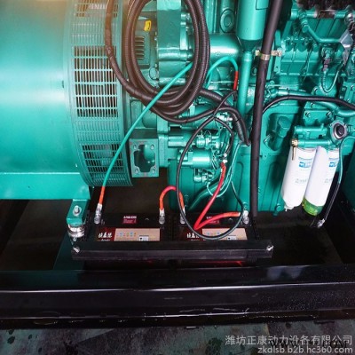 180kw玉柴柴油發(fā)電機(jī)組 180千瓦電調(diào)四保護(hù)無刷發(fā)電機(jī)220v380v