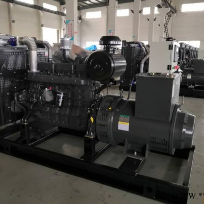 上柴 6DTAA8.9-G34柴油發(fā)電機(jī)組 發(fā)電機(jī)組廠 220KW發(fā)電機(jī)組 工地備用電 源  特價(jià)銷(xiāo)售