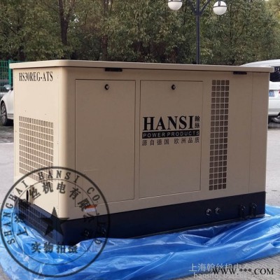HANSI翰絲HS10REG燃氣發(fā)電機