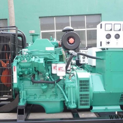 泰鑫CYJ特價柴油機發(fā)電機組由平頂山地區(qū)提供  中國柴油發(fā)電機組