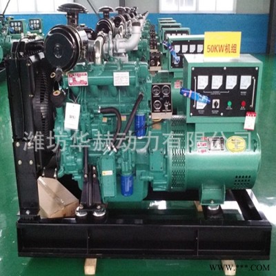 廠家供應(yīng) 濰柴50kw柴油發(fā)電機(jī)組 R4105ZD柴油發(fā)電機(jī) 小區(qū)備用電源