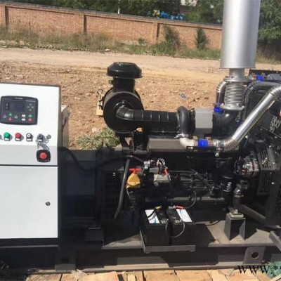 斯太爾WD615.57D02發(fā)電機(jī)組熱賣沈陽(yáng)發(fā)電機(jī)組直銷房地產(chǎn)醫(yī)院備用250KW發(fā)電機(jī)組價(jià)格重汽斯太爾廠家熱賣