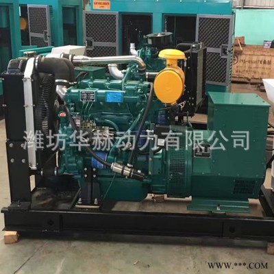 濰柴船用柴油發(fā)電機(jī)組30KW 快艇游艇用發(fā)電機(jī)30千瓦 380V三相全銅