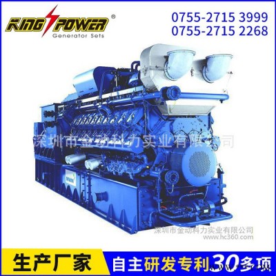 直銷(xiāo) 直銷(xiāo) 500kw天然氣沼氣發(fā)電機(jī)組 600KW頁(yè)巖氣、天然氣沼氣發(fā)電機(jī)組 600KW頁(yè)巖氣 煤層氣發(fā)電機(jī)組