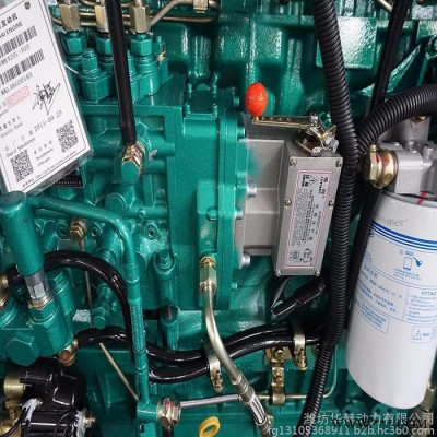 廣西玉柴250千瓦柴油發(fā)電機(jī)組 玉柴動力250kw無刷永磁發(fā)電機(jī)組