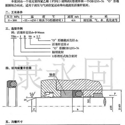 進(jìn)口U形滑環(huán)組合封