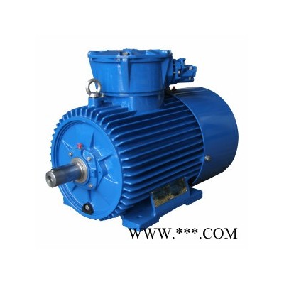 CANTONI滑環(huán)電機(jī)/三相繞線型轉(zhuǎn)子交流異步電動(dòng)機(jī)