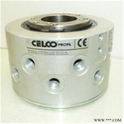 意大利CELCO PROFIL集電環(huán)