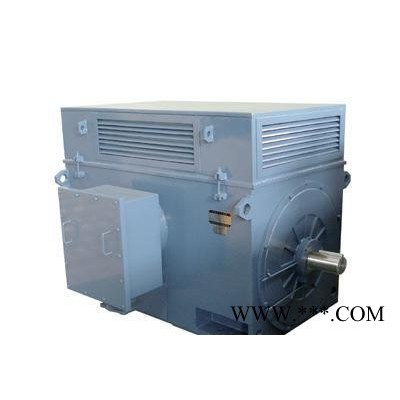 滑環(huán)電機 YR系列高壓異步電動機 YR6302-4