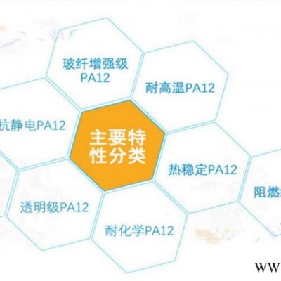 無齒阻燃 熱穩(wěn)定劑 耐寒級Degussa/德固賽 PA12 工程塑料L X7166電線電纜應(yīng)用 絕緣材料應(yīng)用