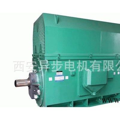 西安電機廠繞線型轉(zhuǎn)子 YR5003-10 6KV高壓電機 西瑪電機