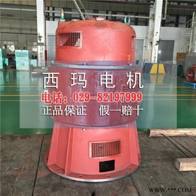 TK4800-22/3250 4800KW 10000V同步高壓電機(jī)保養(yǎng)
